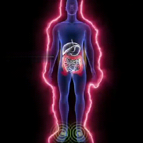 1691695923553968.gif