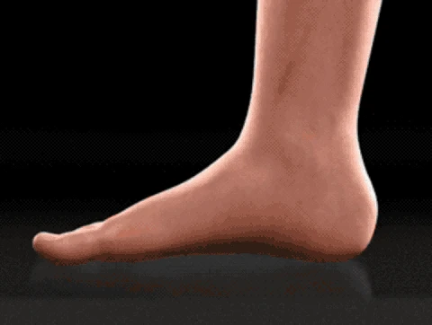 1694771851448296.png