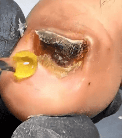 1781769656339972.gif 10018.gif