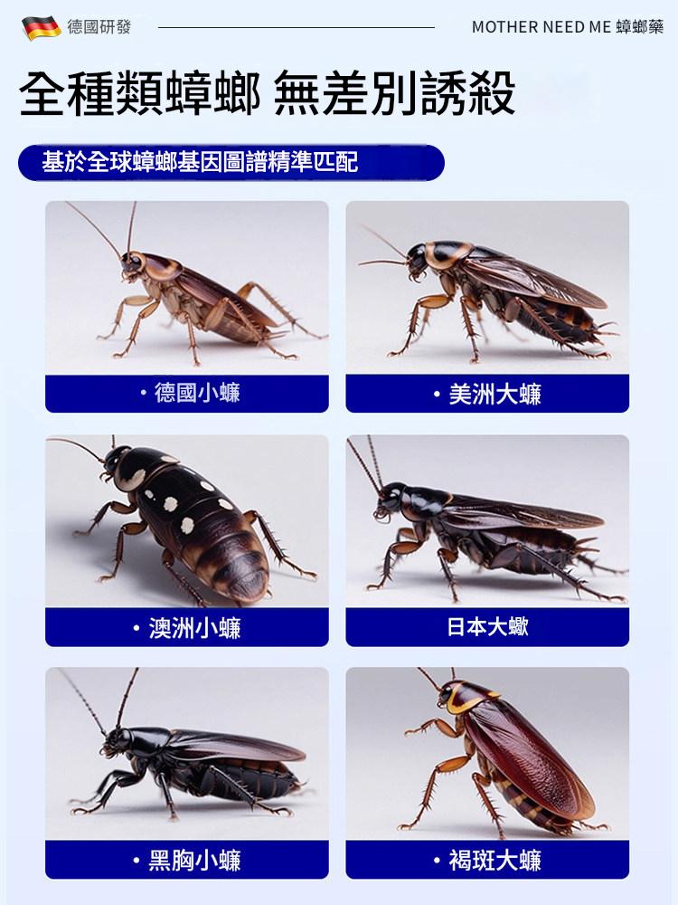 蟑螂藥家用正品非無毒第全窩強效端一名飯店蟲卵雙殺蟲劑滅除殺壑